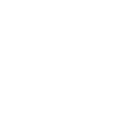 チケットアイコン